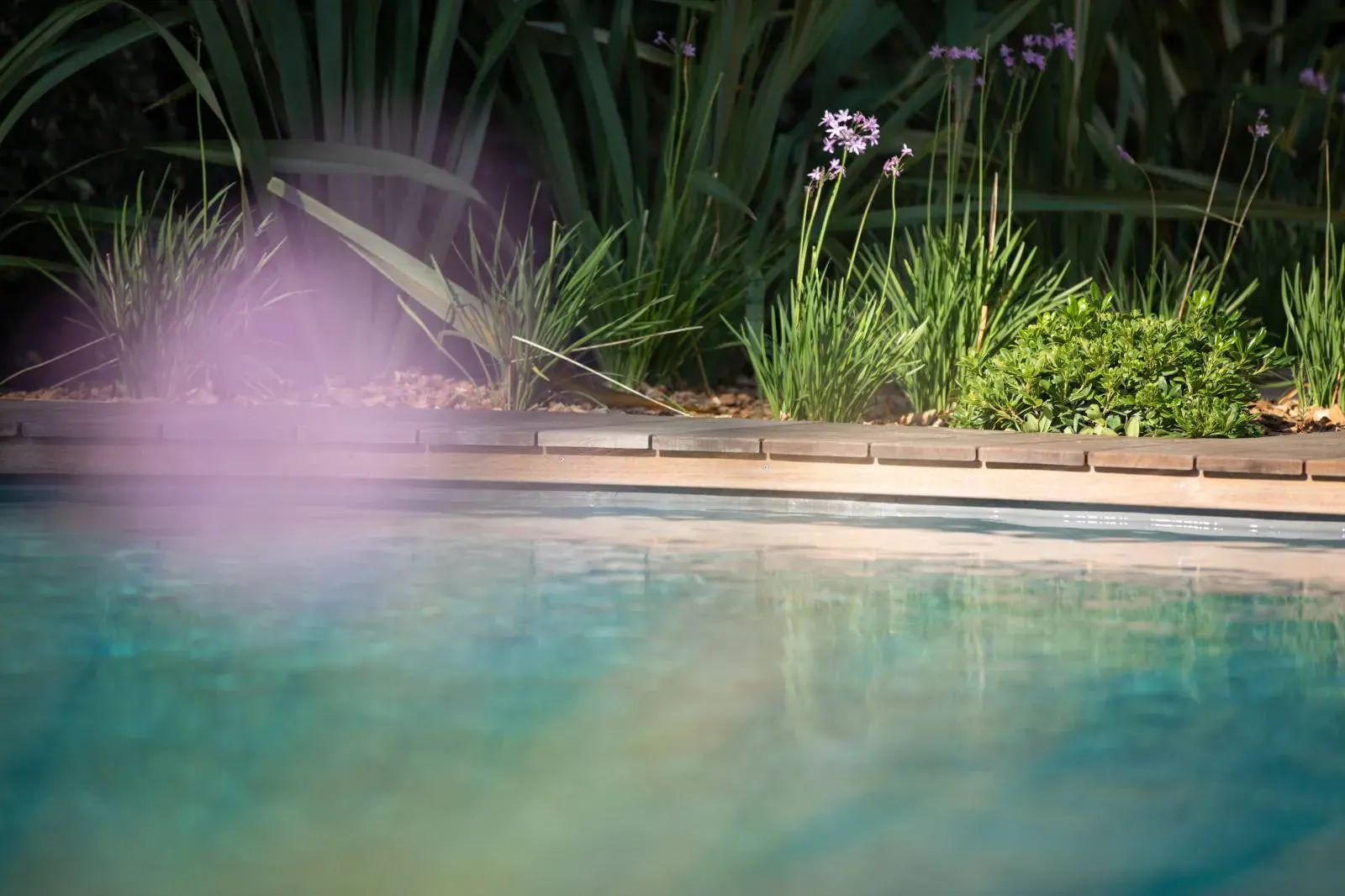 Pergola bois bioclimatique à Marseille
