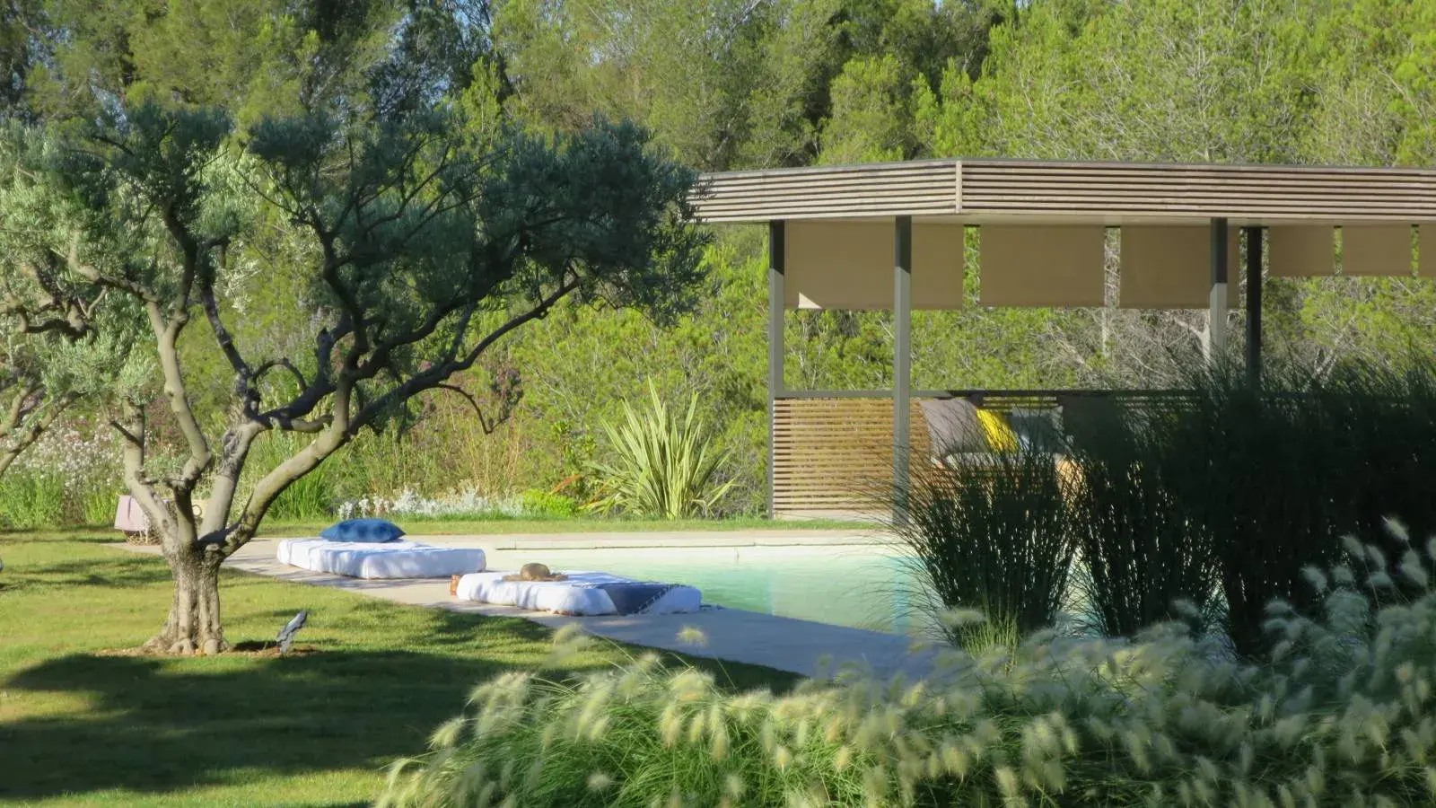 Pergola bois bioclimatique à Marseille