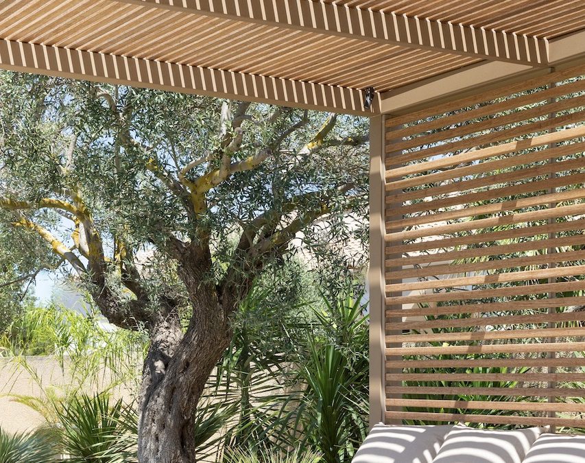 Pergola bois et claustra sur mesure avec terrasse piscine — Marseille