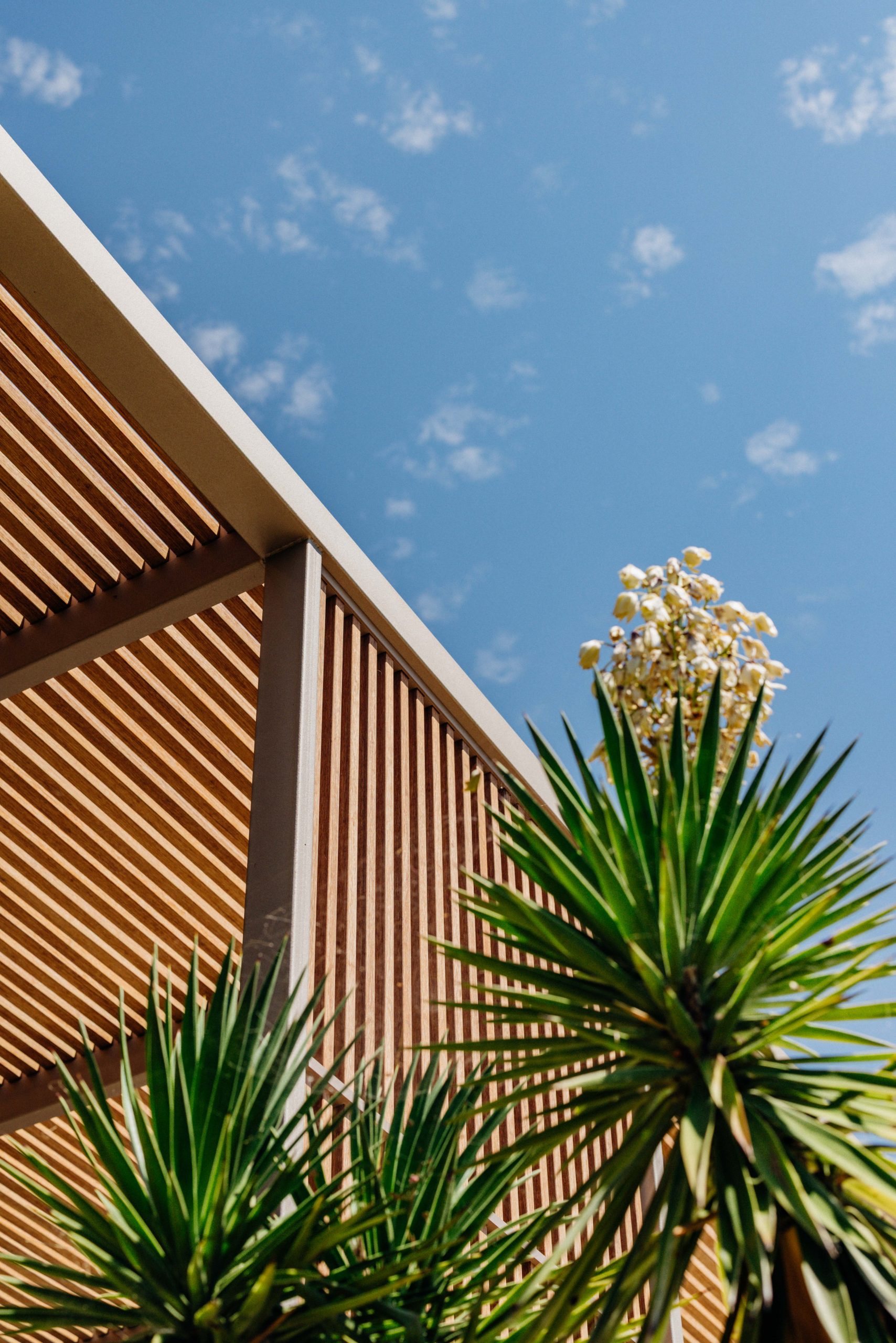 Claustra bois exotique terrasse PACA