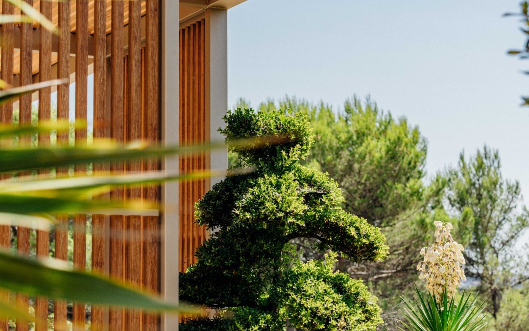 Aménagement extérieur et mobilier en bois exotique dans le Var